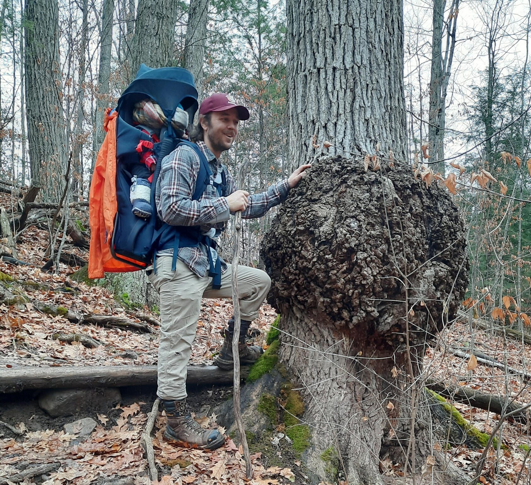 Kjell on a hike Kjell_arborist